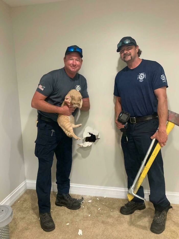 Two firefighters posing with a cat next to a hole in the wall, showing hilarious pets living rent-free antics.