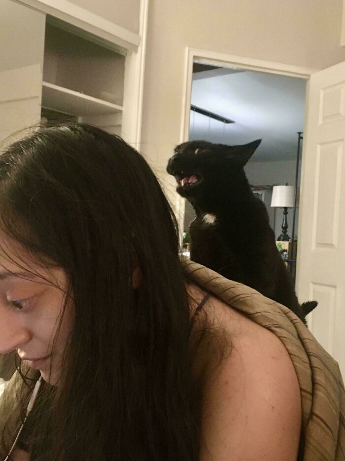 Black cat acting wildly on a woman's back indoors, showcasing pets living rent-free and behaving like ungrateful hooligans.