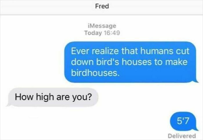 Screenshot of a hilarious text conversation about humans cutting down bird houses to make birdhouses.