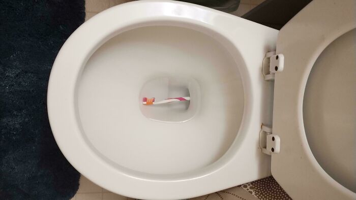Toothbrush discarded in a toilet bowl symbolizing shocking stories of friendships ending without even starting.