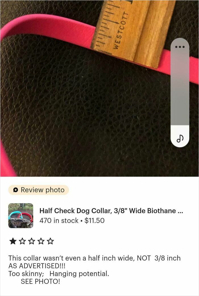 It Always Amazes Me When People Are So Confident In Their Stupidity