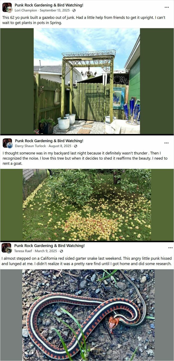 Facebook group posts showing quirky gardening, unusual backyard scenes, and rare wildlife in weird internet places.