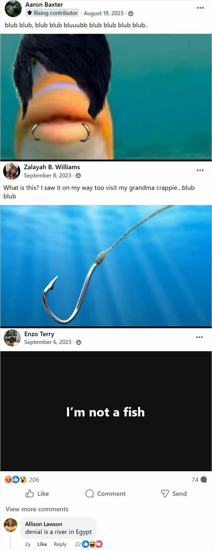 Facebook posts from weird groups showing humorous fish images and quirky internet content people love.