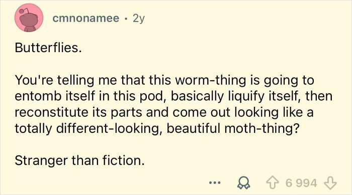 Comment describing how butterflies transform by liquefying and reconstituting themselves, a far-fetched but true fact.