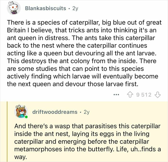 Reddit comments explaining far-fetched but true facts about caterpillars tricking ants and parasitic wasps.