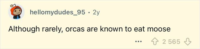 Screenshot of a social media comment stating that orcas are rarely known to eat moose, a fact that sounds far-fetched but is true.