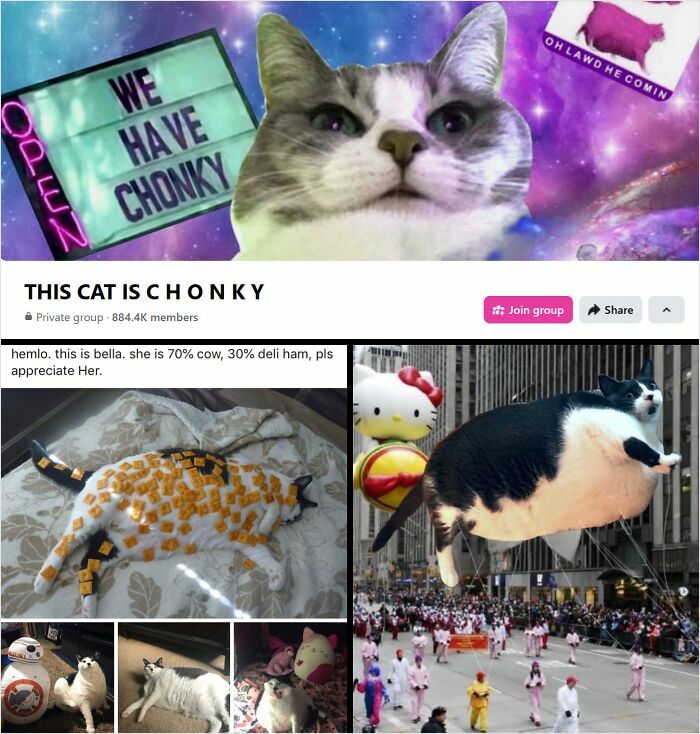 Facebook group featuring chonky cats with humorous images showcasing the internet’s weird and beloved communities.
