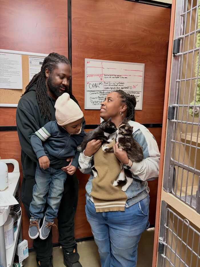 Um gatinho mudou a vida deste homem e agora ele resgata animais em tempo integral