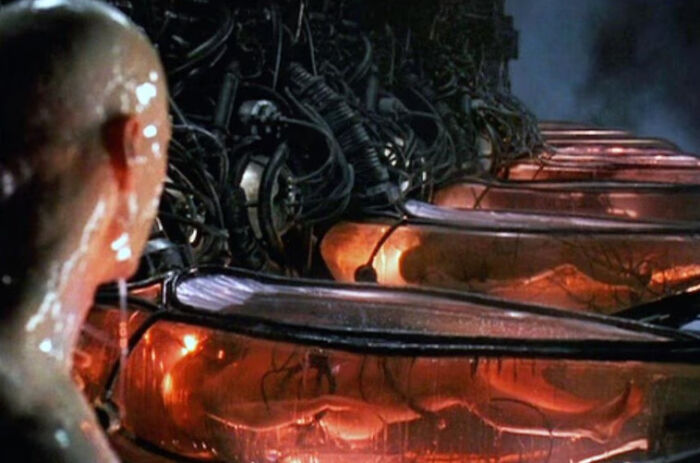 A scene from The Matrix showing a bald person looking at rows of incubation pods, highlighting nonsensical movie details.