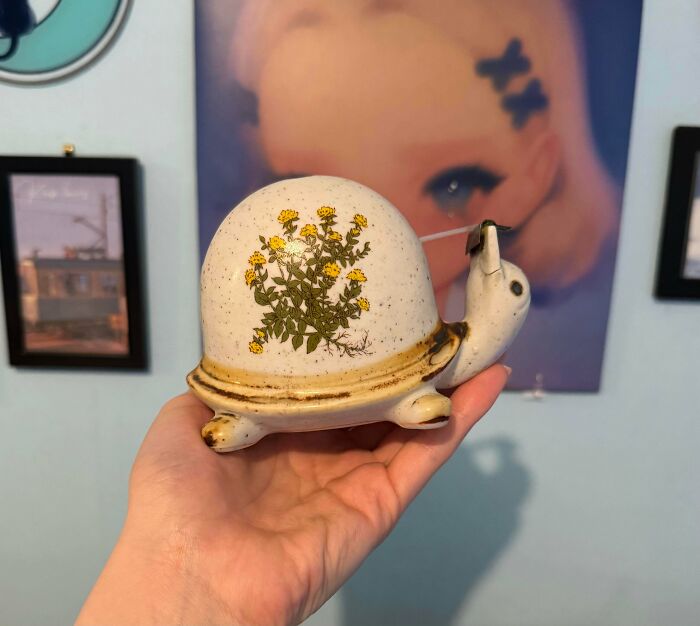 A hand holding a ceramic snail with yellow flowers, a thrift store jackpot.