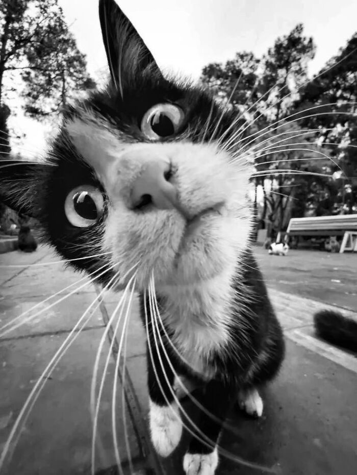 These Stunning Photographs Capture Perfectly Timed Moments That Tell Whole Stories (35 New Pics)