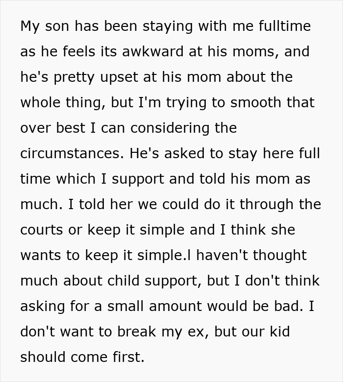Man upset about cheating ex-wife&rsquo;s boyfriend stealing expensive Lego sets, discussing support and custody arrangements.
