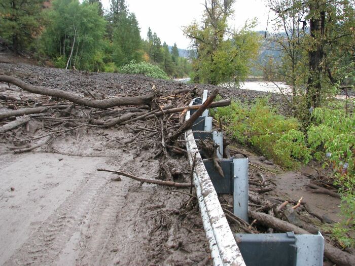 Road blocked by mud and tree debris after a natural disaster, highlighting odors you should never dismiss for safety.