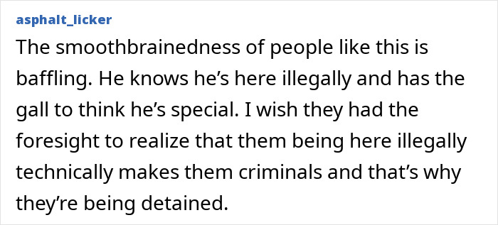 Comment discussing illegal immigration and detention related to a MAGA influencer deported by ICE after controversial remarks.