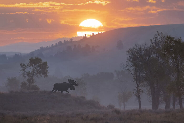 “River Bound For Breakfast” By Michael Mihaljevich