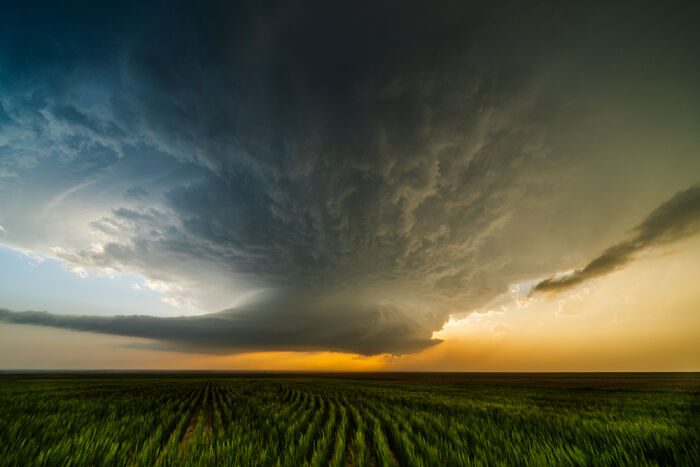 “Beast” By Andreia Costa