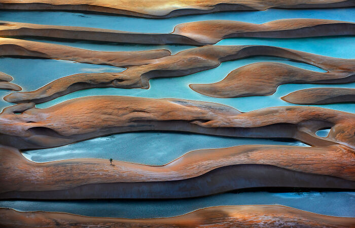 “Lonely Tree, Lencois Maranhenses” By Ignacio Palacios