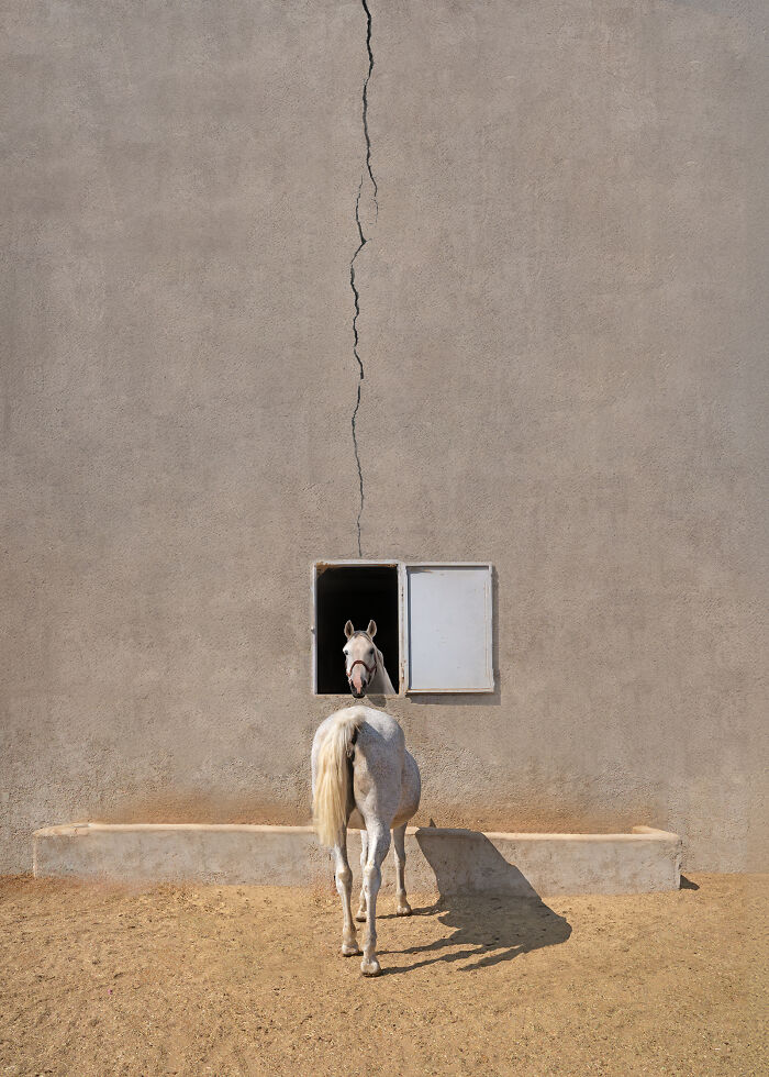 “Legend1” By Abolghasem Khoshro