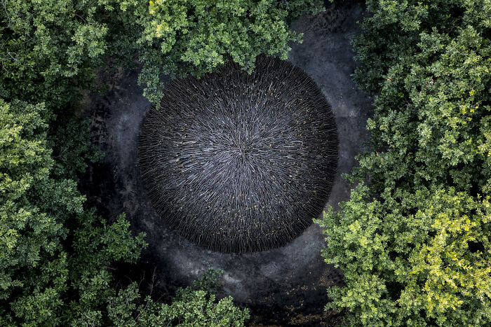 “A Tradition Burning Out: Artisanal Charcoal Production In Turkey” By Onur Coban