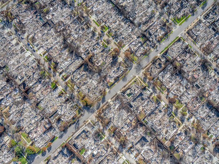 “La Fires” By Jeffrey Milstein