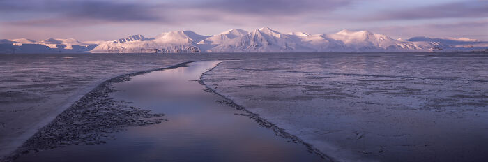 “Arctic Light” By Graeme Purdy