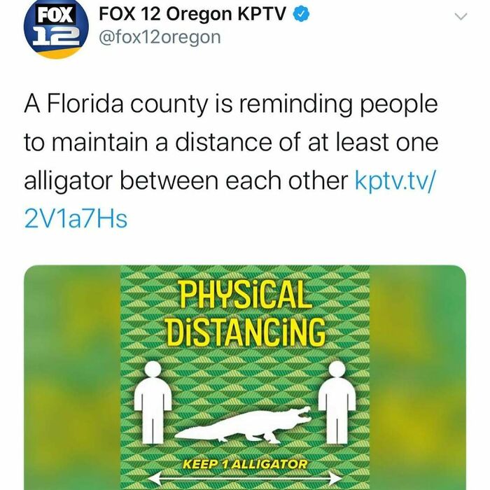Tweet from FOX 12 Oregon about Florida county advising physical distancing with at least one alligator between people, unhinged news headlines.