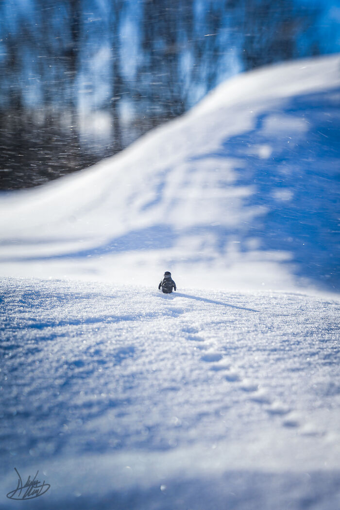 Cinematic LEGO Photography