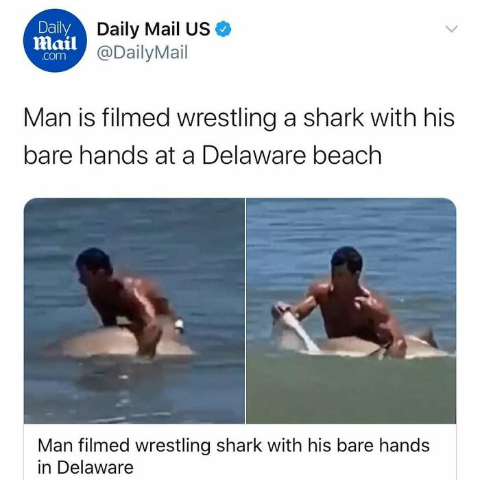Man wrestling a shark with his bare hands in water, illustrating unhinged news headlines from America.