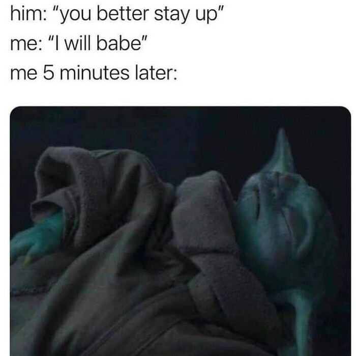 Funny chaotic marriage meme showing a character asleep five minutes after promising to stay up for their partner.