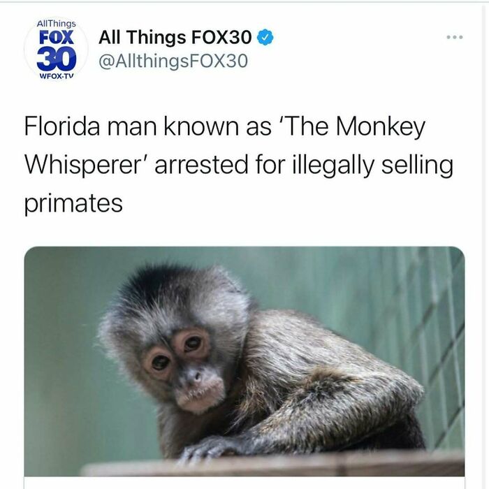 Tweet from All Things FOX30 about a Florida man called the Monkey Whisperer arrested for illegal primate sales, highlighting unhinged news headlines.