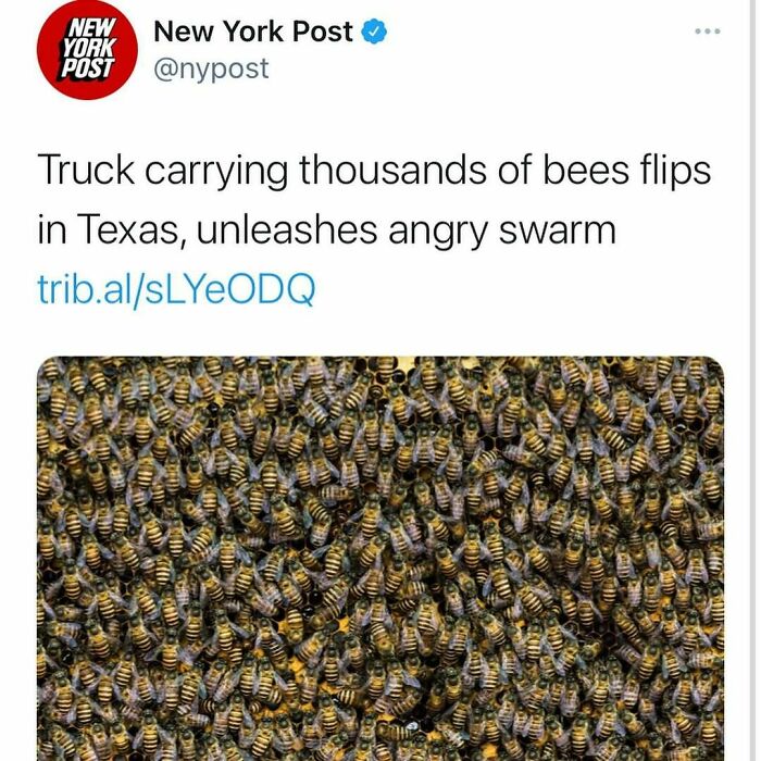 Swarm of thousands of bees unleashed after truck accident in Texas, highlighting unhinged news headlines in America.