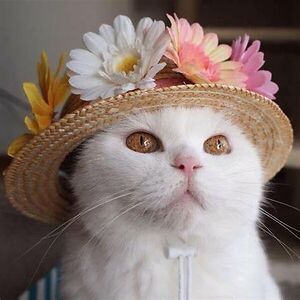 kathryn-a-young16-civ avatar