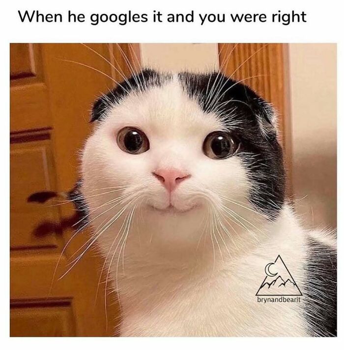 Cat with wide eyes and a curious expression, paired with a funny chaotic marriage meme about being right after Googling.
