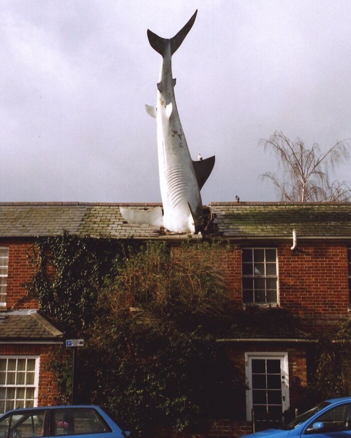 Large shark sculpture embedded in rooftop of brick house showcasing creative architectural structures.