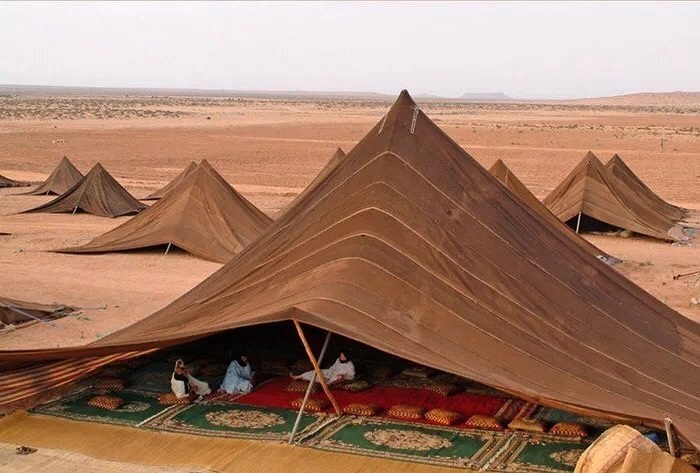 Traditional desert tents with detailed rugs inside showcasing unique architectural structures in a vast sandy landscape.
