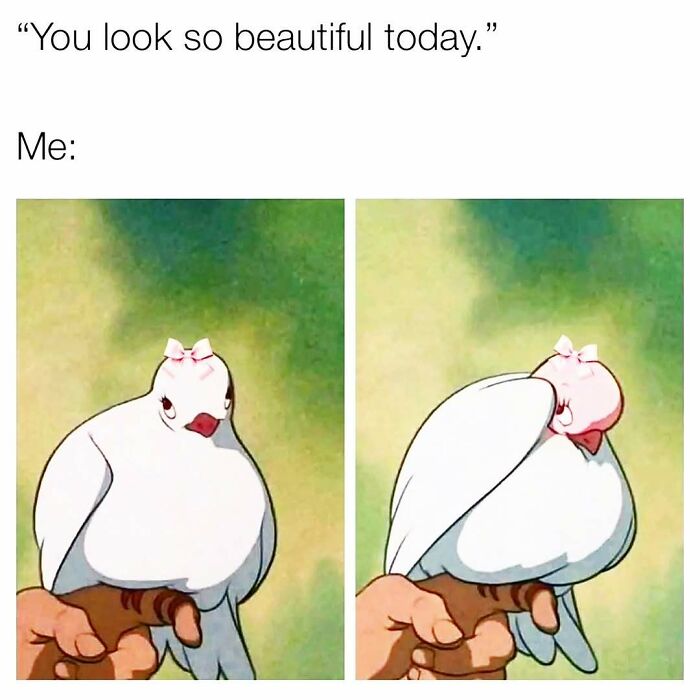 Cartoon white bird with a pink bow reacting shyly to a compliment in a cute and wholesome girlies post.