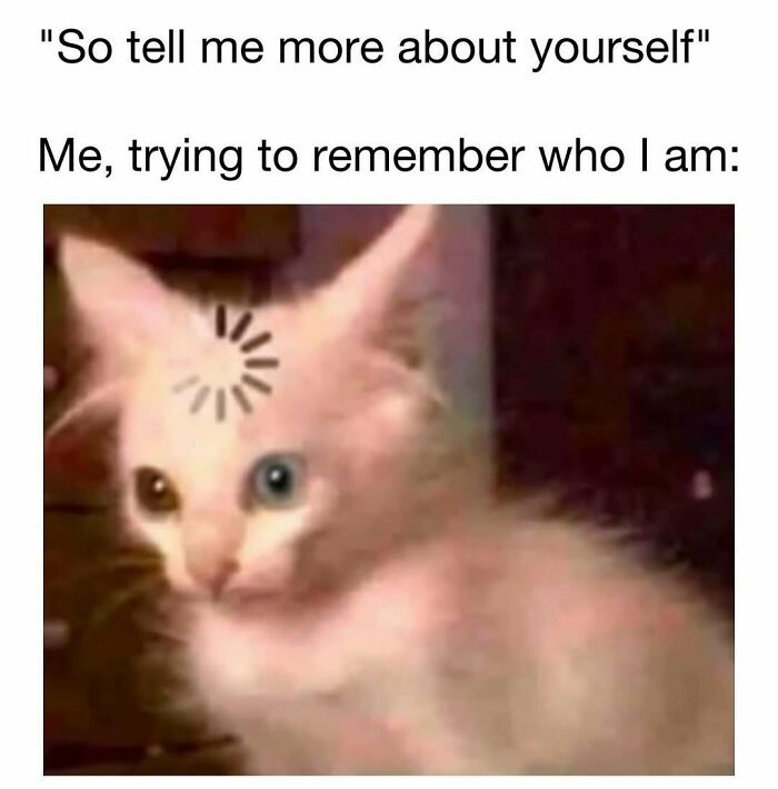 Funny meme featuring a confused kitten with a loading symbol, shared on a cute and wholesome posts page for girlies.