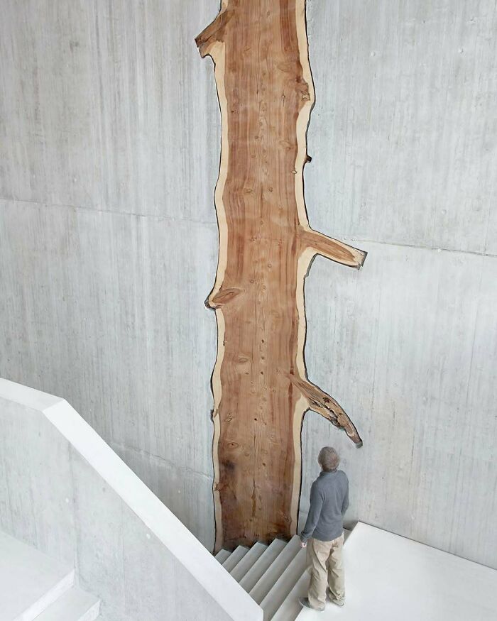 Man standing near a staircase looking at an architectural structure featuring a tall, raw wooden panel on a concrete wall.