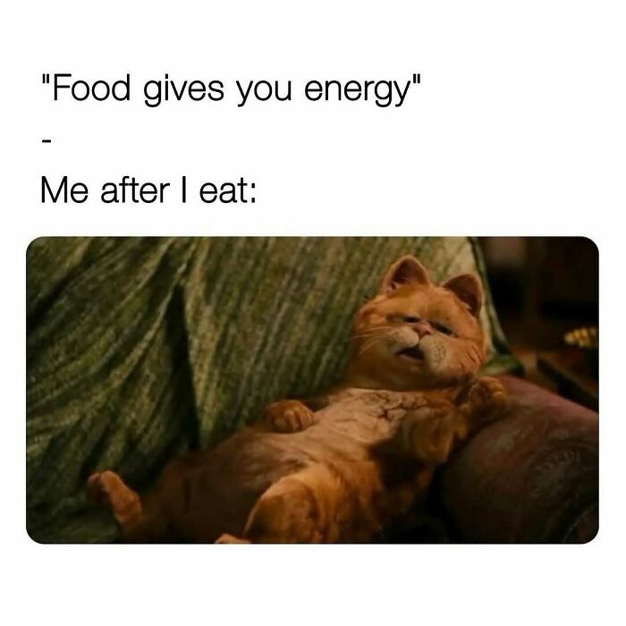 Funny cute and wholesome post showing a tired cat lying on a couch after eating, capturing relatable girlies' humor.
