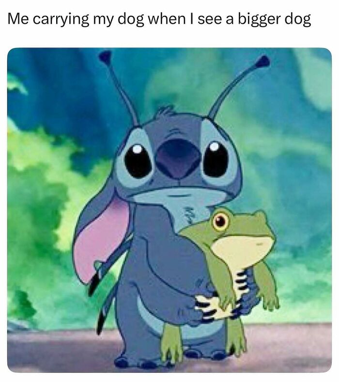 Cartoon character Stitch holding a frog with text about carrying a dog and seeing a bigger dog, cute wholesome post.