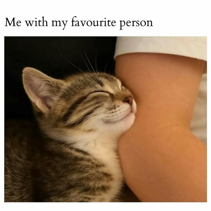 Cute and wholesome post of a smiling kitten cuddling an arm, showing affection and warmth for girlies.