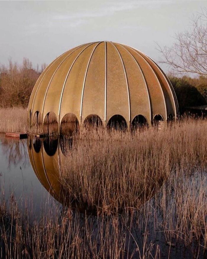 Unique dome-shaped architectural structure reflecting in water surrounded by tall grass, showcasing creativity and design.