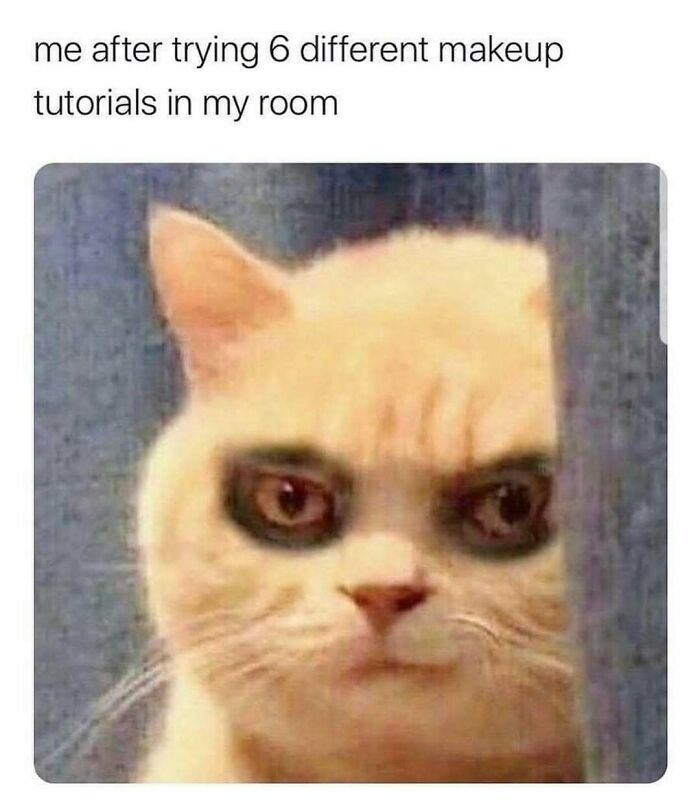 Cat with messy makeup look, humorously illustrating the struggle of trying different makeup tutorials for girlies.