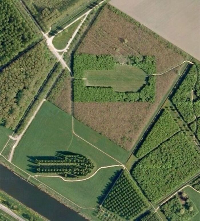 Aerial view of amazing architectural structures in landscape design showcasing creativity through unique tree and field patterns.