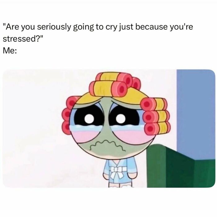 Cartoon character with curlers in hair, crying and looking stressed in a cute and wholesome posts meme for girlies.