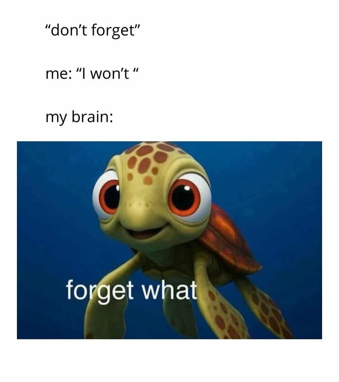 Cute turtle meme with text about forgetting, illustrating a wholesome post shared by a dedicated page for girlies.