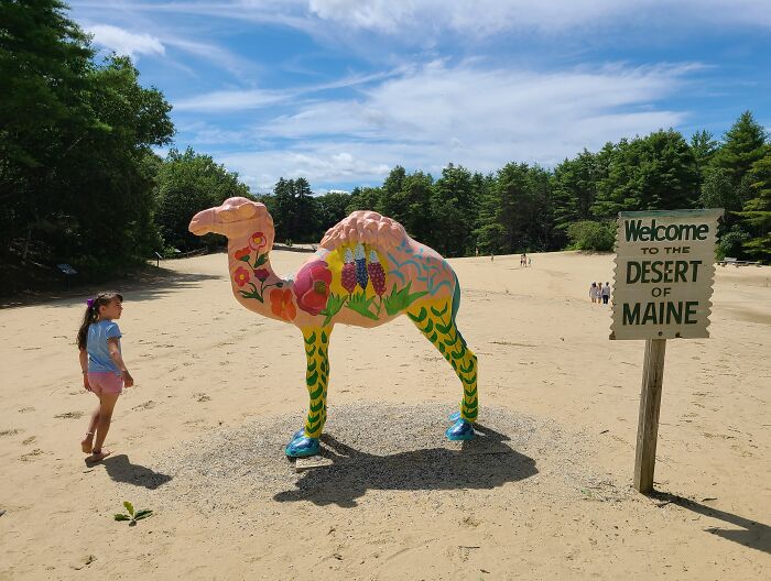 Colorful camel statue and Desert of Maine sign in a unique unusual place visited by a child under a blue sky.