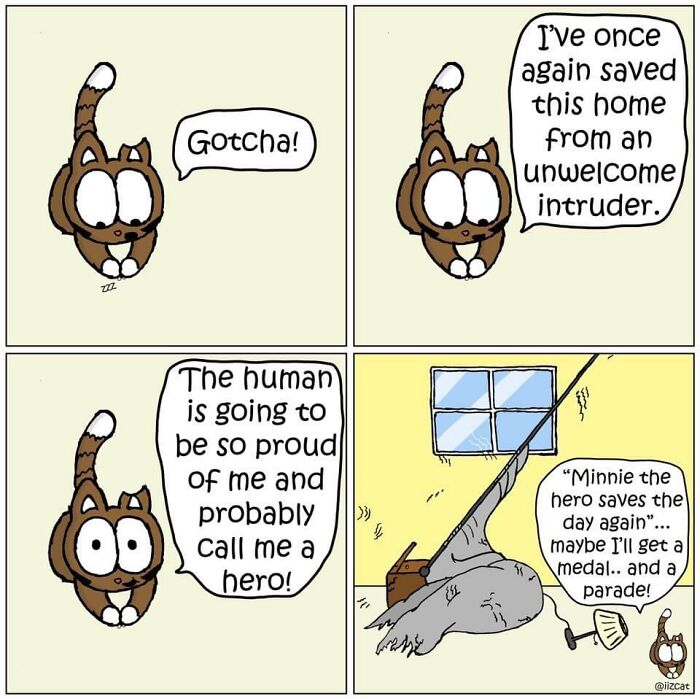This Artist Turns The Chaos Of Living With A Cat Into Hilariously Relatable Comics (30 Comics)