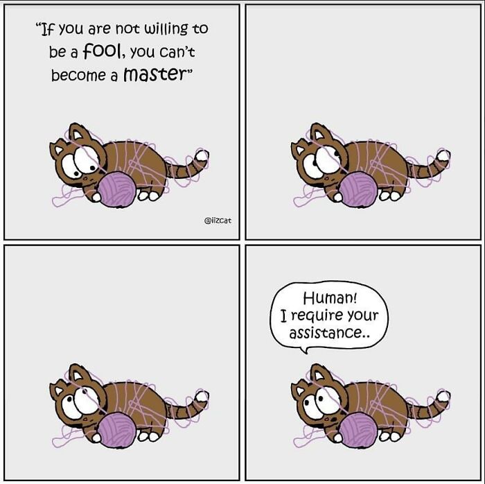 This Artist Turns The Chaos Of Living With A Cat Into Hilariously Relatable Comics (30 Comics)