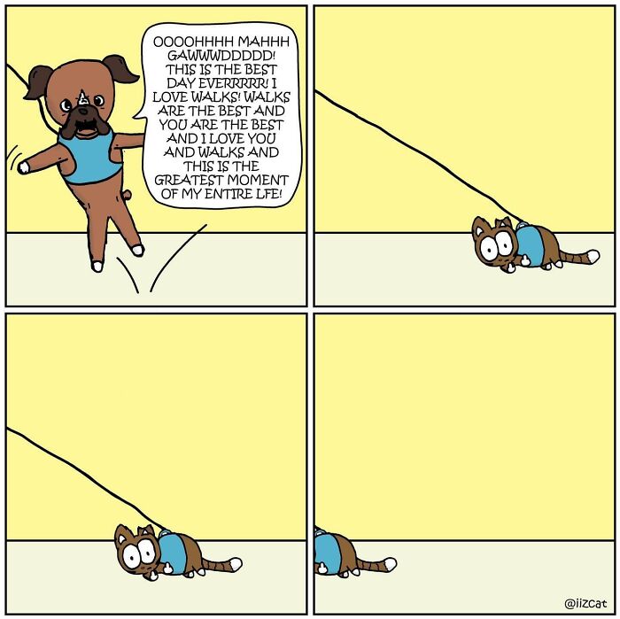 This Artist Turns The Chaos Of Living With A Cat Into Hilariously Relatable Comics (30 Comics)